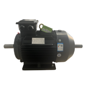 Customization Low Speed 0.75-5000kw Permanent Magnet Motor